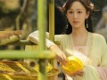 成毅杨紫最新爆料图片,甜蜜互动引粉丝热议