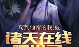 视频爆料小说在线观看,视频爆料小说在线观看背后的秘密