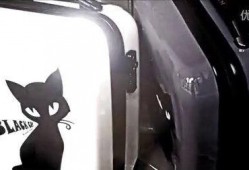 blackcat 在线观看,在线观看的悬疑惊悚之旅