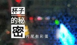 大连酒店爆料视频最新版,揭露惊人内幕，真相令人震惊