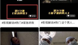 星光爆料书本解说视频,书本解说视频深度解析